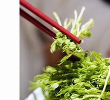 Fresh Bean Sprouts