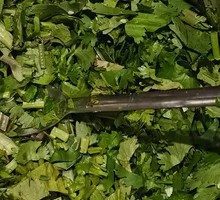 Cilantro Skewered Beef
