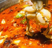 Spicy Bullfrog with Loach Fish