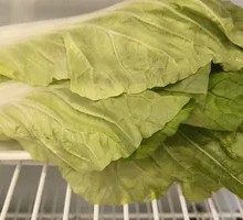 Large Leaf Green Vegetables