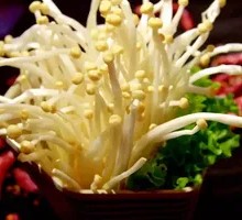 Enoki Mushroom