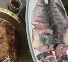 Freshly Caught Amur Catfish