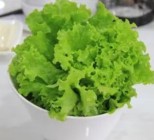 Fresh Lettuce