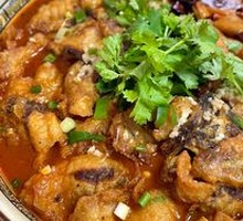 Golden Old Bowl Fish