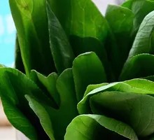 Green Vegetables