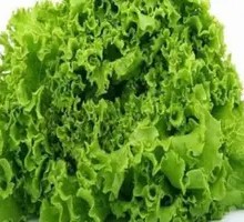 Lettuce