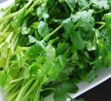 Cilantro