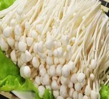 Enoki Mushroom