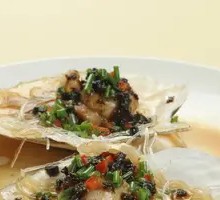 Scallop