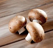 Mushroom