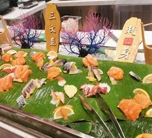 Salmon
