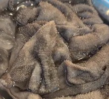 Fresh Tripe