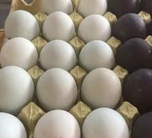 Salted duck egg