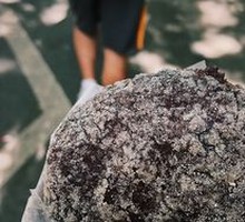 Black Rice Oil Cake