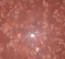 Red Bean Porridge