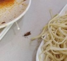 Hand-Kneaded Noodles