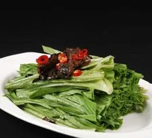Oilseed lettuce
