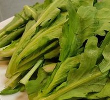 Guangdong Water Spinach