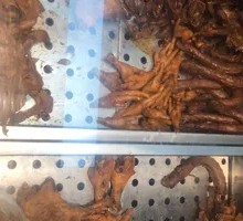 YYDS Fresh Boiled Duck Neck Slices