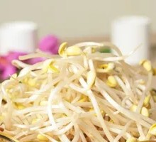 Soybean Sprouts