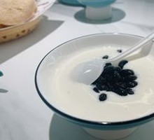 Black Bean Yogurt