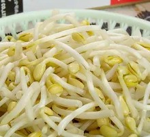 Sichuan Bean Sprouts