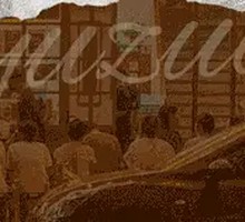 Dali Highland Tribute Cabbage