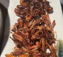 Insect Platter