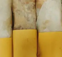 Lao Mo Wrapped Fish Tofu