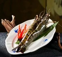 Extra Large Thai Tiger Shrimp