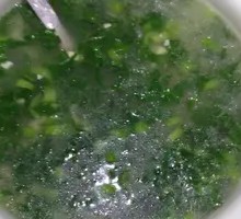 Vegetable Soup