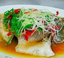 Qingzhen Sea Bass