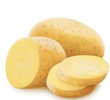 Potato