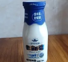 Old Xinjiang Yogurt
