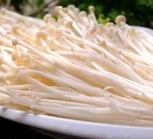 Enoki Mushroom