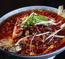 Golden Old Bowl Fish