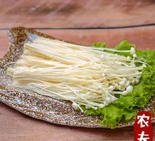 Enoki Mushroom