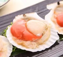 Frozen Hokkaido Scallop