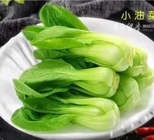 Baby Bok Choy Stir-Fry