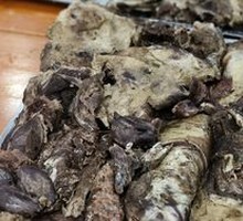 Ordinary Water Basin Lamb