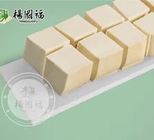Frozen Tofu