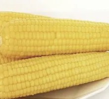 Sweet Fruit Corn