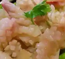 Rocket Squid Blossom