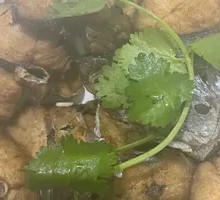 Pan-fried Spanish Mackerel