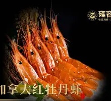 Canadian Red Peony Shrimp