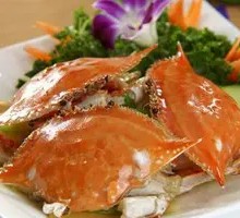Spider Crab