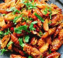 Dry-Fried Cicada
