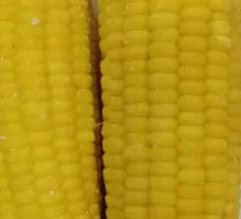 Northeast Corn