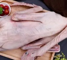 Goose Meat