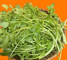 Cantonese Watercress